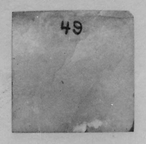 Fragment